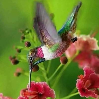 房价走势最新消息